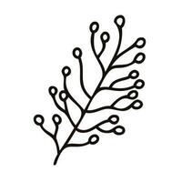 Hand Drawn leaves and twigs from the top view in doodle style vector