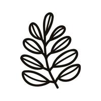 Hand Drawn leaves and twigs from the top view in doodle style vector