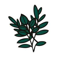 Hand Drawn leaves and twigs from the top view in doodle style vector