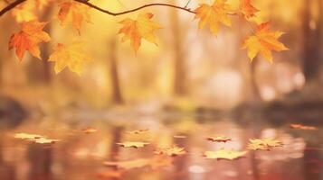 Blurred autumn background nature with maple leaf fall from trees, Technology photo