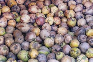 Pile of many coconuts background photo