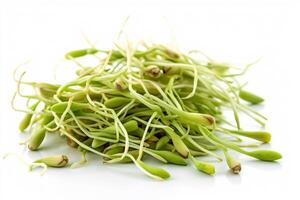 Bean sprout sprouts on a white background. photo