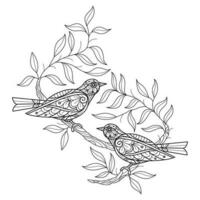 Birds and leaf hand drawn for adult coloring book vector