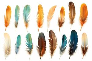Collection of different feathers isolated on white background, photo