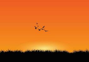 Silhouette of grass and birds at sunset background. Vector illustration