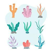 Set of hand drawn flat coral reefs collection vector