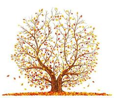 Autumn tree with falling leaves isolated on white background vector illustration.