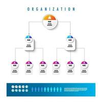 Infographic for business organization chart model depatment template vector