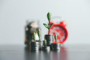 Sprout growing on stack coins in saving money concept, business saving money concept, business economy idea, selective focus. Financial and business, Management money retire, tax. photo