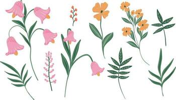 Hand drawn vector set flowers