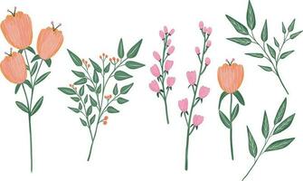 Hand drawn vector set flowers