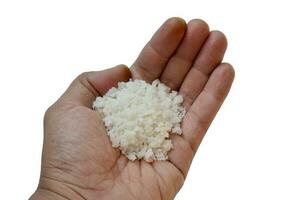 raw salt on a hand, isolated at white background photo