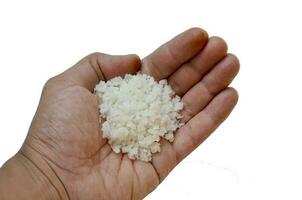 raw salt on a hand, isolated at white background photo