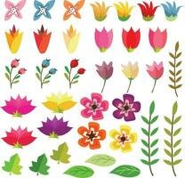 flower collection in flat style vector