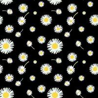 seamless pattern with camomiles vector