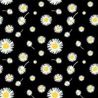 seamless pattern with camomiles vector