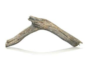 Close-Up Of Driftwood Against White Background. clipping path photo