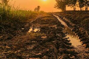 Wheel tracks in the soil. Country road Natural Morning landscape photo