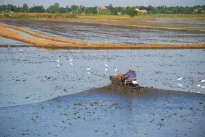 Farmer plowing rake in rice fields with water and mud photo