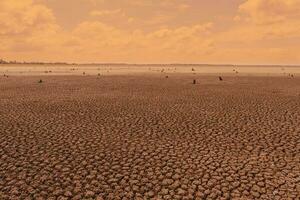 clima sequía, terreno agrietado suelo en caliente clima foto