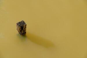 Strong concept. Wooden posts in the water for a long time with patience photo