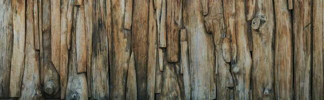 madera textura antecedentes vacío para diseño foto