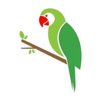 Parrot logo icon design vector