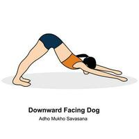 Woman doing yoga.Downward facing dog pose.Pro vector illustration.