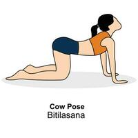 Woman doing yoga.Cow pose,BitilasanaPro vector illustration.