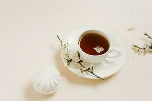 Tea cup standing with apple flowers and marshmallow on beige background photo