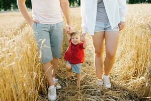 sano madre, padre y pequeño hijo disfrutar naturaleza juntos en el Fresco aire. un contento familia con un niño camina mediante un trigo campo por el manos foto