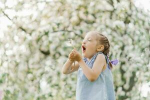 Child girl blows on a dandelion in a spring blooming garden photo