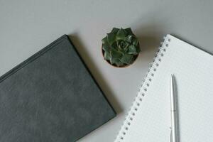 A gray Desk with office tools, a diary or Notepad, a ballpoint pen, and a succulent. Workplace of an office worker, freelancer, or blogger. photo