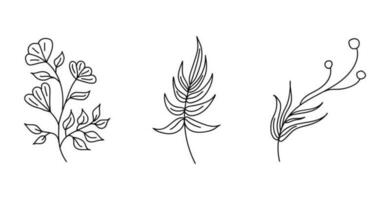Hand drawing collections set plants flower leaf illustration vector