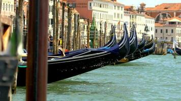 svängande venetian gondoler i de Venedig, Italien. närbild långsam rörelse video. video