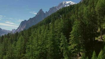 Snowy Mont Blanc Massif and Summer Forestry Landscape Aerial Footage video