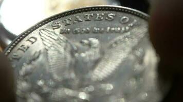 Checking American Dollars Coin in Macro Closeup. Collectible Coin in a Hand. video