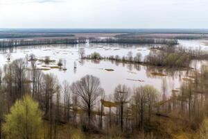 river flooded meadow, forests and fields in the water photo