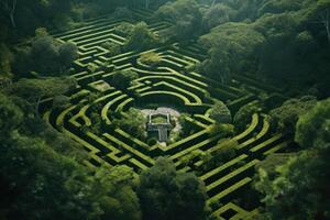 green maze in forest jungle photo