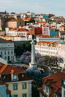 High perspective view of Rossio Square in Baixa district of Lisbon city, Portugal covered with violet Jacaranda leaves photo