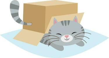 Cute cat under cardboard box vector