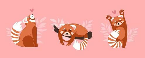 Cute funny cartoon red panda in love. Animals character with hearts. Valentine day romantic drawing. Kids baby design. vector