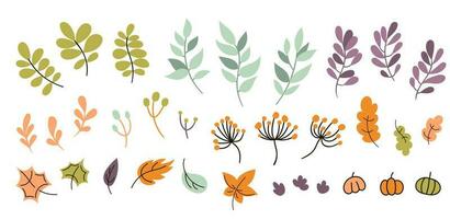 doodle set of hand drawn  fall floral design elements. vector