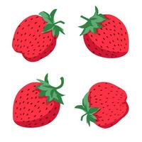 Set strawberry on a white background. vector