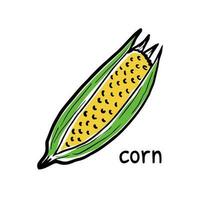 Close up of fresh corn doodle icon. Perfect for cards, logo, decorations, recipes, various designs. vector