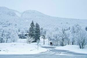 Winter landscape in Scandinavia. With snow covered trees on a road. Landscape photo