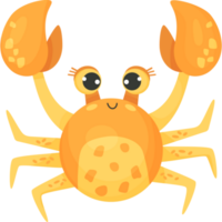 schattig krab. illustratie png