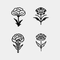 Vector set of Carnation flower by hand drawing on white backgrounds.