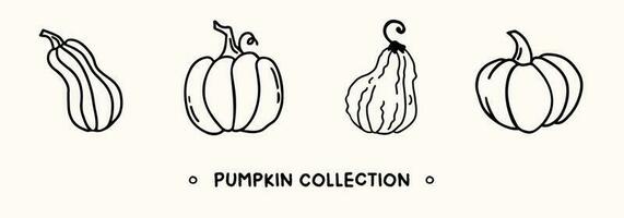 Collection of hand drawn pumpkins in doodle style. Traditional halloween and thanksgiving elements vector