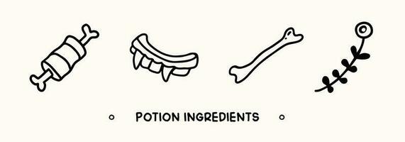 Collection of hand drawn potion ingredients. Witchcraft and helloween elements in doodle style vector